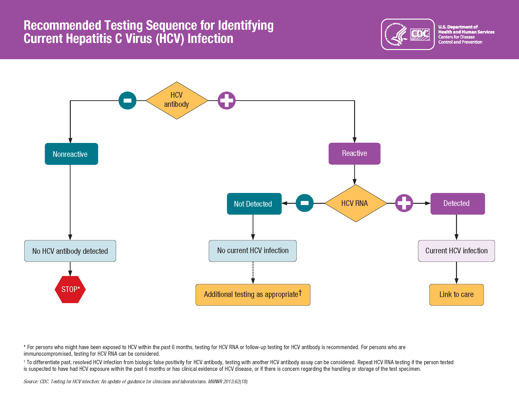 HCV Facts | Hepatitis C